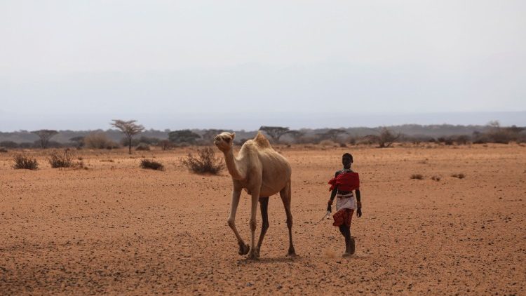 A herdsman walks his camel in search of water towards the town of Kargi, Marsabit county (October 2021).