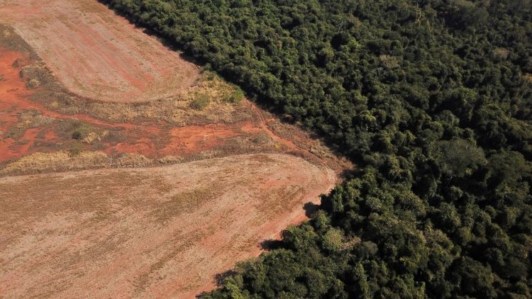 Científicos de la Universidad Estatal de Mato Grosso identifican señales de cambio climático en la frontera entre Amazonia y Cerrado