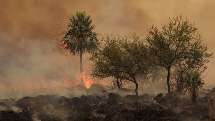 Incendios en Corrientes, Argentina (AFP or licensors)
