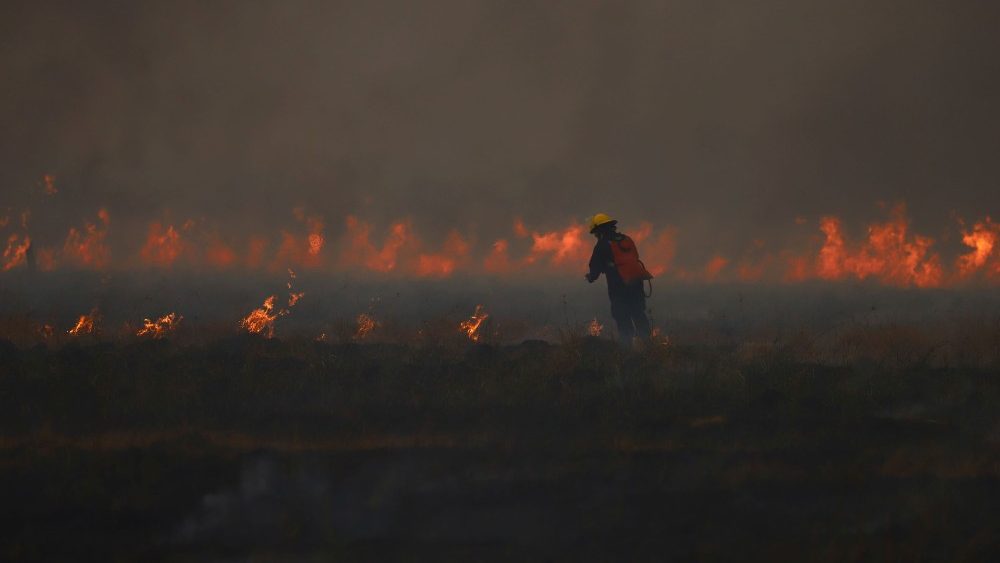 A fire consumes trees and pastures in San Luis del Palmar (Reuters/Matias Baglietto)