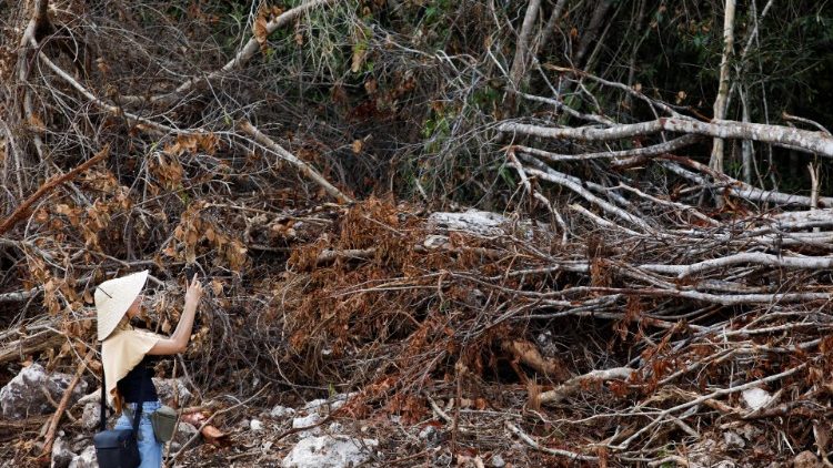 Una activista reporta destrucción de la selva en uno de los tramos de construcción del llamado tren maya en México.