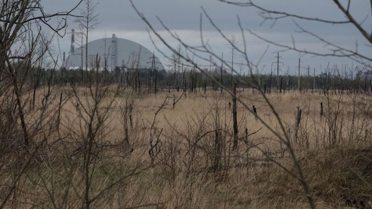 Der sogenannte rote Wald in der Nähe von Tschernobyl