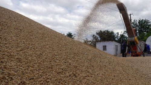 Svolta sul grano fra Russia e Ucraina. Moro: resta il problema nel lungo termine
