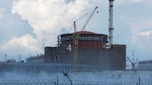 Ukraine: Millions flee as tensions rise over nuclear power plant