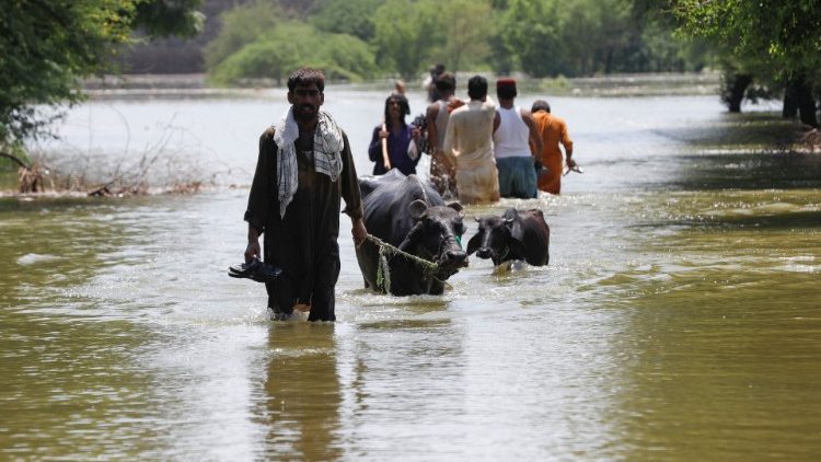Poplave u Pakistanu