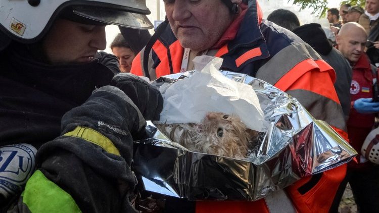 Equipes de resgate ajudam um gato que foi resgatado de um prédio residencial destruído por um ataque de drone russo, que as autoridades locais consideram ser veículos aéreos não tripulados (UAVs) de fabricação iraniana Shahed-136, em meio ao ataque da Rússia à Ucrânia, em Kyiv, Ucrânia 17 de outubro de 2022. REUTERS/Oleksandr Klymenko