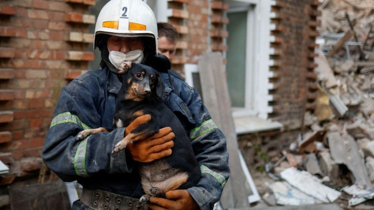 Um socorrista carrega um cachorro em um local de um prédio residencial fortemente danificado por um ataque de míssil russo, em meio ao ataque da Rússia à Ucrânia, em Mykolaiv, Ucrânia, 18 de outubro de 2022. REUTERS/Valentyn Ogirenko