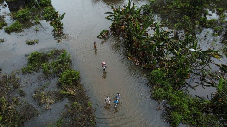 Holy See calls for joint efforts to tackle environmental and social crises