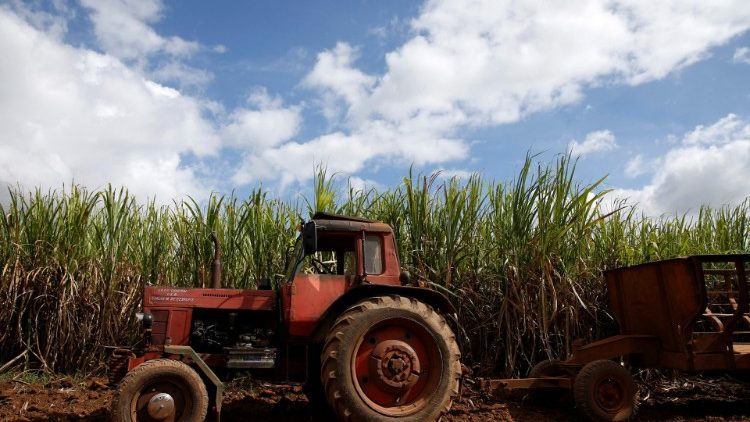 Traktor vor einem Feld in Kuba