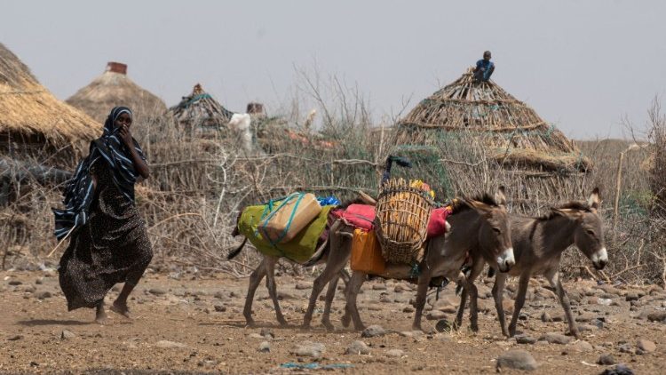 Des milliers de personnes souffrent actuellement de la faim dans la corne de l'Afrique. Ici une femme dans la région somalienne de Adadle Oreda en proie à la sécheresse.