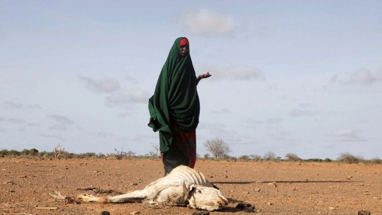 Dürre in Somalia - Aufnahme von Ende Mai 2022