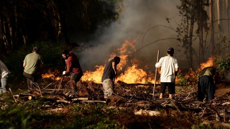 Incendios en Chile.
