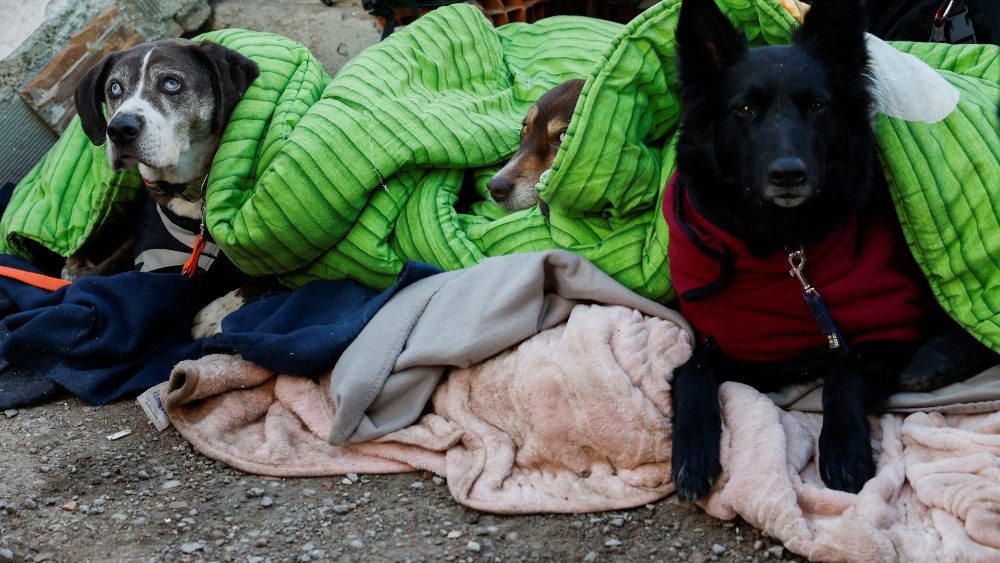 Pessoas dormem em meio a escombros e danos enquanto as opera??es de busca e resgate continuam, aps um terremoto mortal, em Kirikhan, Turquia, 9 de fevereiro de 2023. REUTERS/Piroschka van de Wouw