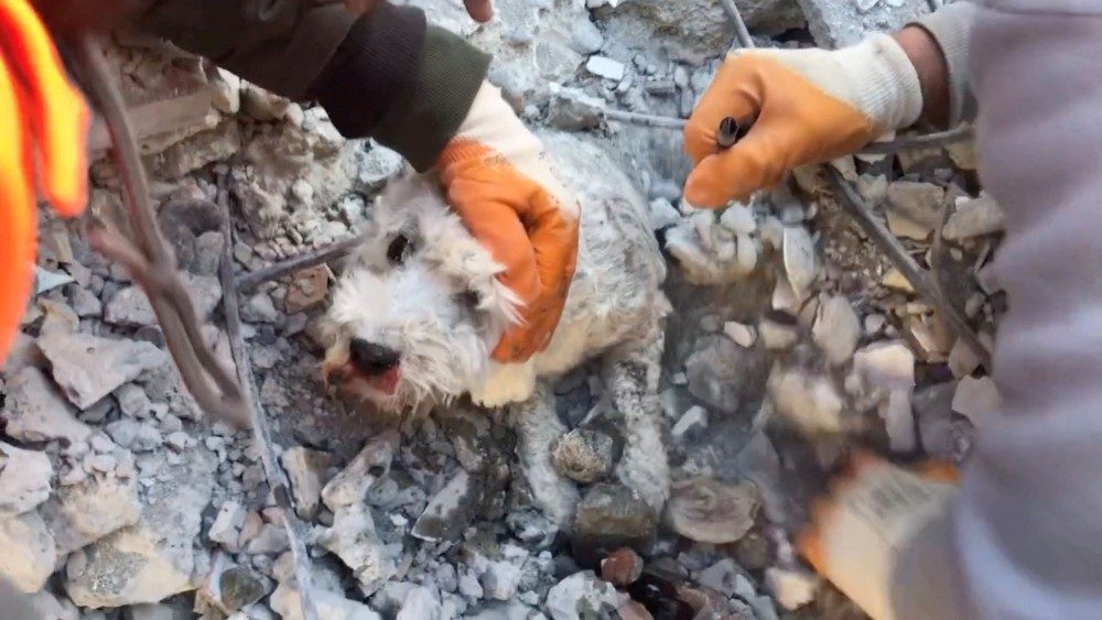 Pessoas trabalham para resgatar um cachorro dos escombros, aps um terremoto mortal, em Iskenderun, Turquia, 8 de fevereiro de 2023, nesta captura de tela obtida de um vdeo de mdia social. Gurcan Ozturk/via REUTERS