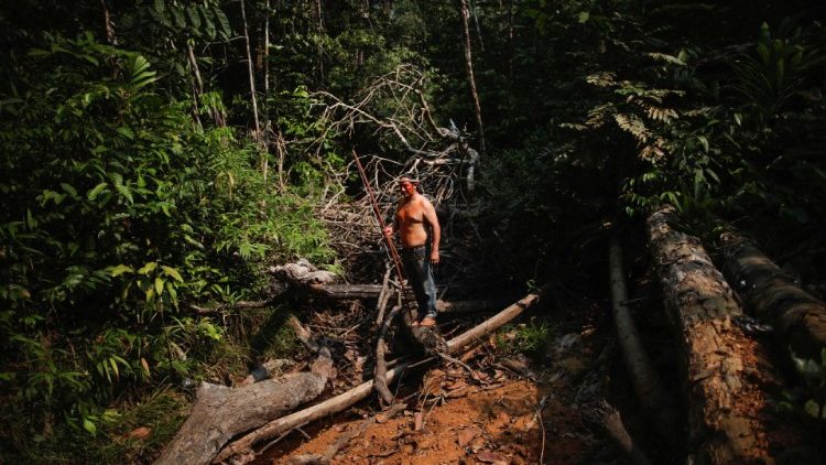 An indigenous Mura man stands in a deforested area of a non-demarcated indigenous land in the Amazon rainforest near Humaita