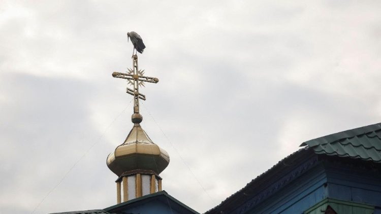  The Orthodox Church of Ukraine in the village of Hrabivtsi