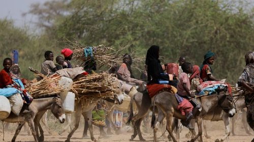 Le Pape rappelle que la migration doit être un choix libre, et non forcé