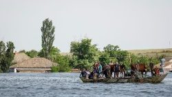 1686322004977.JPG