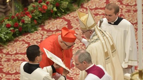 Pope Francis creates 14 new Cardinals