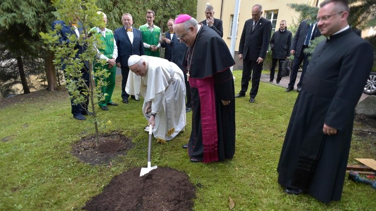 Popiežius Pranciškus Vilniuje pasodino ąžuoliuką 2018 m. rugsėjo 25 d.