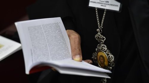 #Synod2018: дыскусіі аб дакументах Асамблеі