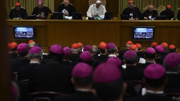 Il Papa con i vescovi all'ultimo Sinodo