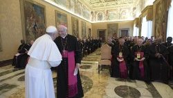2018-11-10-plenaria-pontificio-comitato-congr-1541847201500.JPG