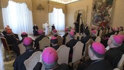 2018-11-10-plenaria-pontificio-comitato-congr-1541847505287.JPG