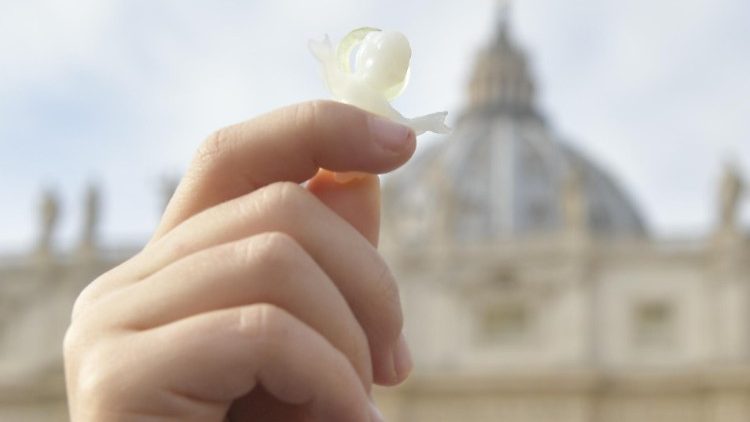 Das Thema der kommenden Wochen ist Kinderschutz. Foto: Gläubige bringen Krippenfiguren zum Segen auf den Petersplatz
