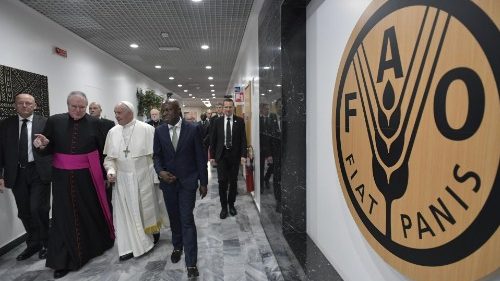 Papst an FAO: Wirtschaft muss Gemeinwohl und Umwelt respektieren