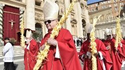 2019-04-14-celebrazione-messa-domenica-delle--1555230539319.JPG