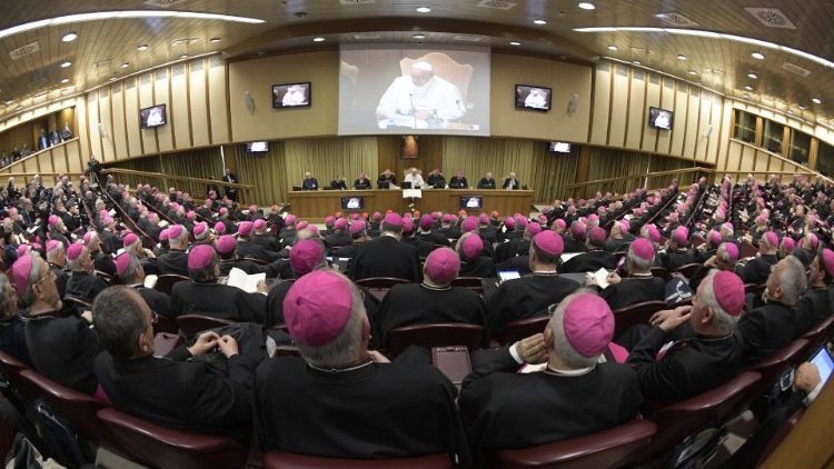 Papa Franjo u Sinodskoj dvorani u Vatikanu