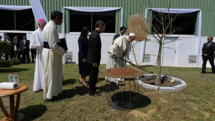 Pope Francis plants a baobab tree with Madagascar's president