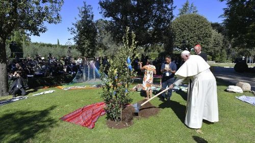Il Papa pianta un albero in Vaticano: Sinodo consacrato a San Francesco
