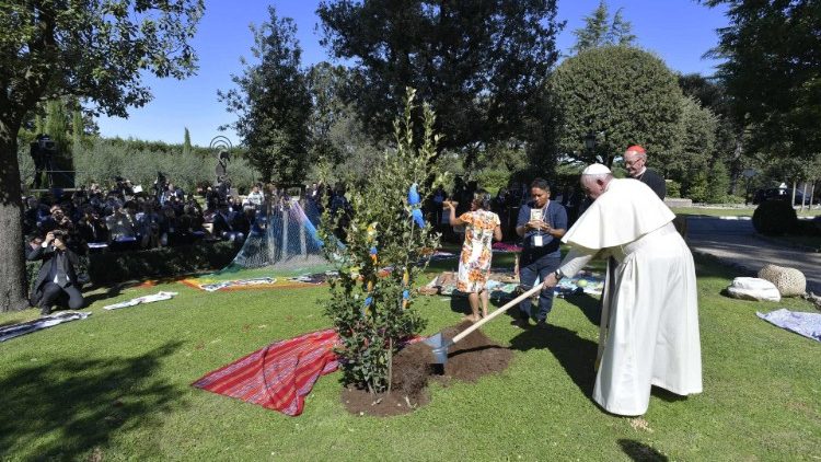 Il Papa pianta un leccio nei Giardini Vaticani