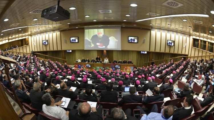 2019年的世界主教会议大会