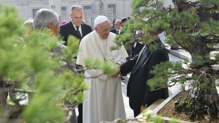 2019.10.30 Udienza Generale - a japanese visited Bonsai trees to Pope Francis
