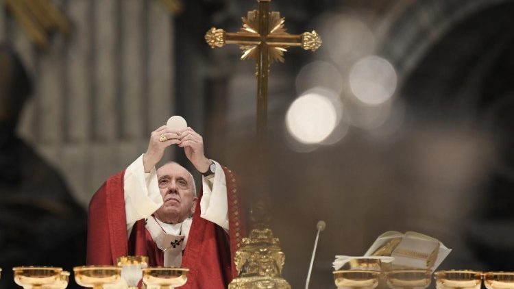 البابا فرنسيس: الكنيسة ليست منظمة بشرية، بل هي هيكل الروح القدس