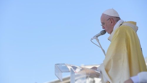 El Papa en el Ángelus: la Cruz nos exhorta a mantener firmes las raíces, sin encerrarse