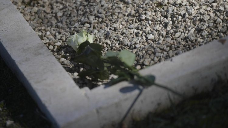 A white rose is laid on one of the graves