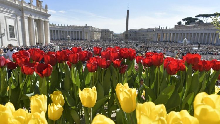 Piazza San Pietro abbellita dai fiori provenienti dall'Olanda