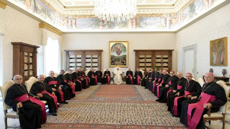 Bispos dos regionais Norte 2 e 3 da CNBB encontram o Papa 