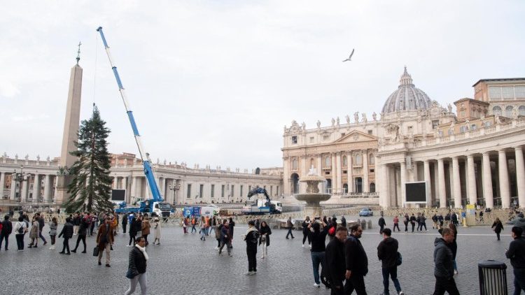 Arrival of the Christmas tree in St Peter's Square