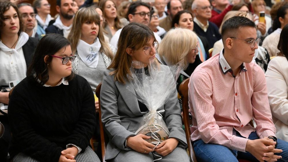A audincia no Vaticano com o grupo de Toledo