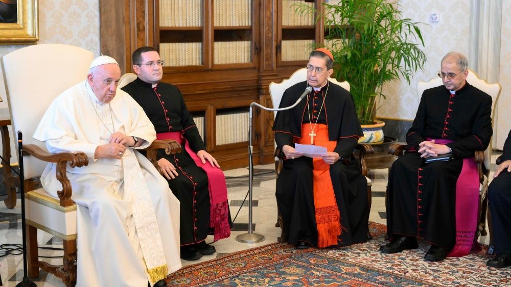 A delega??o em audincia com o Pontfice no Vaticano