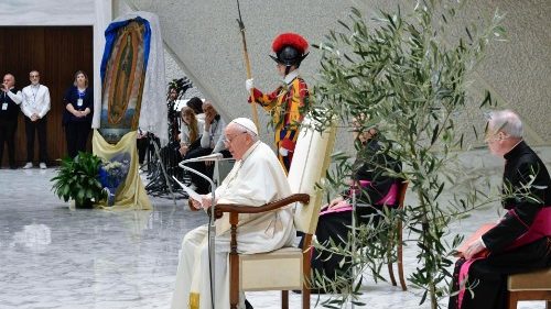 Francisco: La guerra quita humanidad, luchemos por la paz