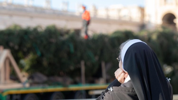 Piazza San Pietro, allestimento del presepe e dell'albero di Natale