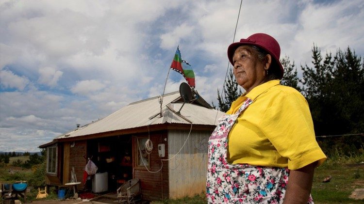 Mulher Mapuche