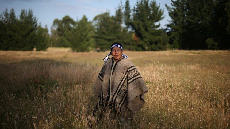 ONU condena actitudes discriminatorias, racistas y xenófobas de las que son víctimas los pueblos indígenas de Argentina, en particular los Mapuche.