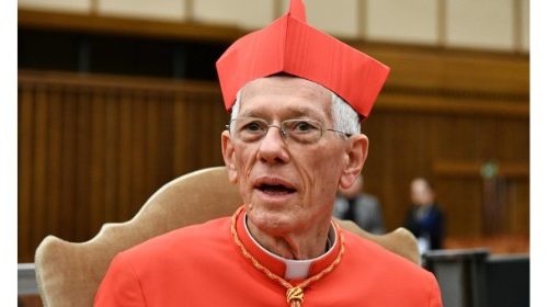 Le cardinal Piat «horrifié» par des actes de torture commis par des policiers